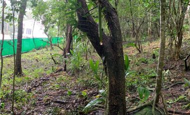 VENTA DE TERRENO EN EL VALLE DE ANTÓN 5000M2 JP