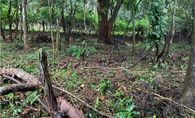 VENTA DE TERRENO EN EL VALLE DE ANTÓN 5000M2 JP