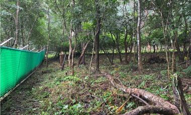 VENTA DE TERRENO EN EL VALLE DE ANTÓN 5000M2 JP