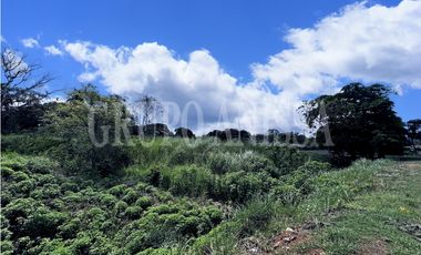 Se Vende Terreno en Chilibre sobre la Transistmica