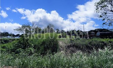 Se Vende Terreno en Chilibre sobre la Transistmica