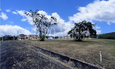 OPORTUNIDAD! SE VENDE TERRENO EN LA COLONIA CHAME