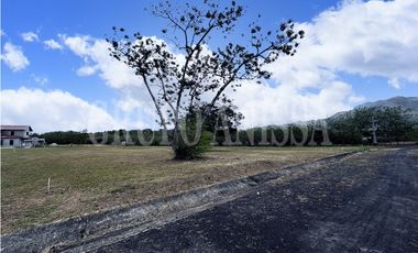 OPORTUNIDAD! SE VENDE TERRENO EN LA COLONIA CHAME