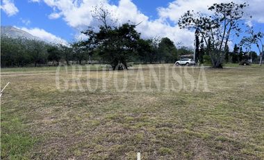 OPORTUNIDAD! SE VENDE TERRENO EN LA COLONIA CHAME