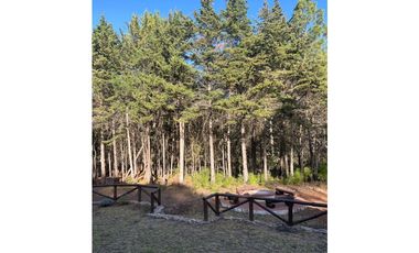 Finca en Quinta Andrea, Huasca de Ocampo Hidalgo. casi 1 ha.