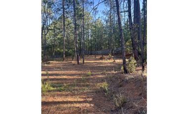 Finca en Quinta Andrea, Huasca de Ocampo Hidalgo. casi 1 ha.