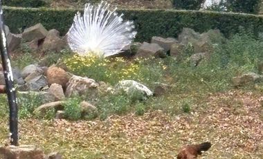 Terreno en Venta en Jilotepec