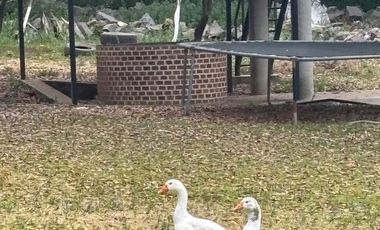 Terreno en Venta en Jilotepec