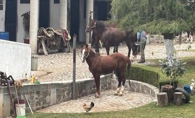 Terreno en Venta en Jilotepec