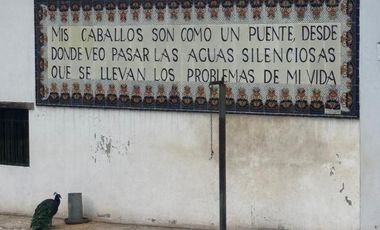 Terreno en Venta en Jilotepec