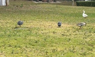 Terreno en Venta en Jilotepec