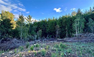 Agrícola en Venta en Camino Villarrica - Pedregoso