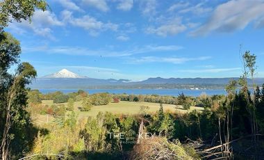 Agrícola en Venta en Camino Villarrica - Pedregoso