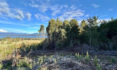 Agrícola en Venta en Camino Villarrica - Pedregoso