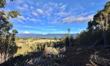 Agrícola en Venta en Camino Villarrica - Pedregoso