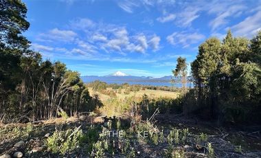 Agrícola en Venta en Camino Villarrica - Pedregoso