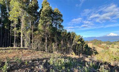 Parcela en Venta en Camino Villarrica - Pedregoso