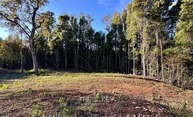 Parcela en Venta en Camino Villarrica - Pedregoso