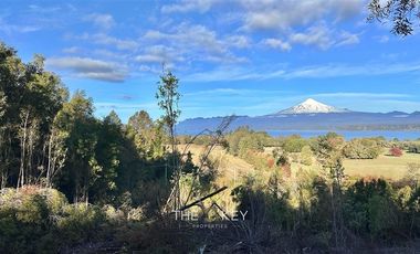 Parcela en Venta en Camino Villarrica - Pedregoso