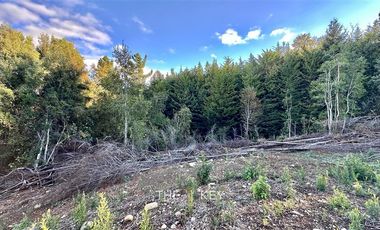 Parcela en Venta en Camino Villarrica - Pedregoso