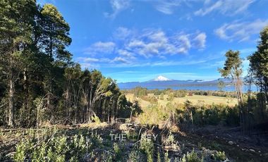 Parcela en Venta en Camino Villarrica - Pedregoso