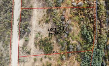 Parcela en Venta en Fundo San Miguel de Marchigüe