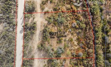 Parcela en Venta en Fundo San Miguel de Marchigüe
