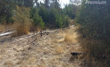 Parcela en Venta en Fundo San Miguel de Marchigüe