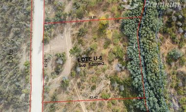 Parcela en Venta en Fundo San Miguel de Marchigüe