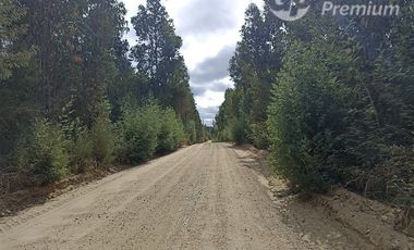 Parcela en Venta en Fundo San Miguel de Marchigüe