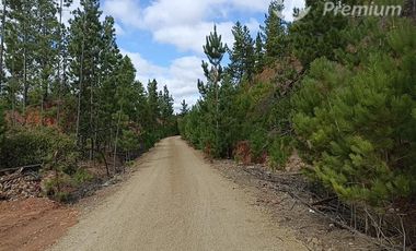 Parcela en Venta en Fundo San Miguel de Marchigüe