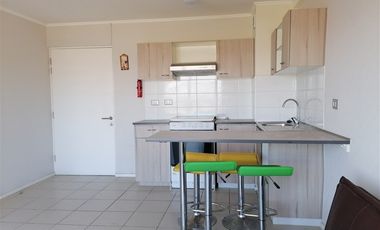 Departamento en Arriendo en Condominio Las Pataguas