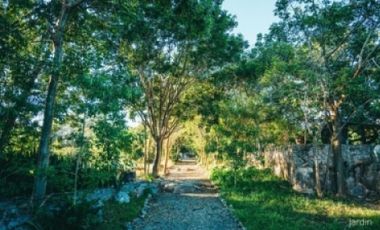 Hacienda en venta, Chunkanán, Yucatan IV