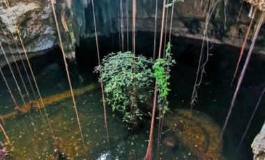 Hacienda en venta, Chunkanán, Yucatan IV