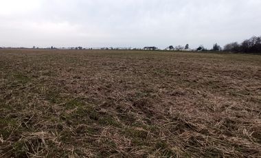 CAMPO, AGRÍCOLA EN VENTA, 21 HA, SAN CLEMENTE
