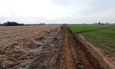 CAMPO, AGRÍCOLA EN VENTA, 21 HA, SAN CLEMENTE