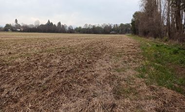 CAMPO, AGRÍCOLA EN VENTA, 21 HA, SAN CLEMENTE