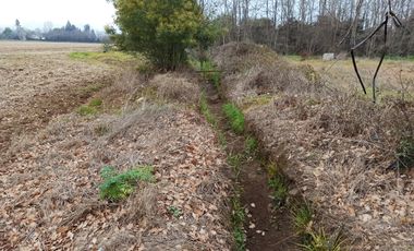 CAMPO, AGRÍCOLA EN VENTA, 21 HA, SAN CLEMENTE