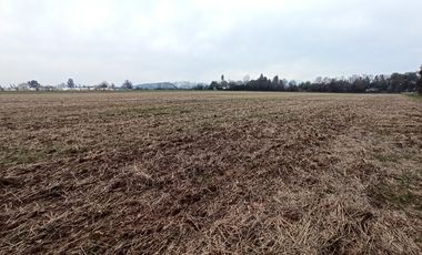 CAMPO, AGRÍCOLA EN VENTA, 21 HA, SAN CLEMENTE