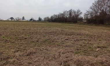 CAMPO, AGRÍCOLA EN VENTA, 21 HA, SAN CLEMENTE