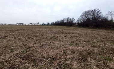 CAMPO, AGRÍCOLA EN VENTA, 21 HA, SAN CLEMENTE