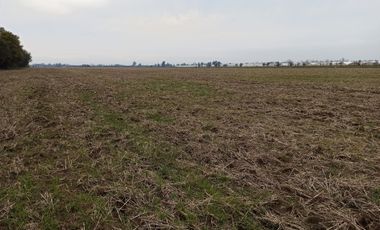 CAMPO, AGRÍCOLA EN VENTA, 21 HA, SAN CLEMENTE