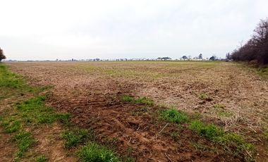 CAMPO, AGRÍCOLA EN VENTA, 21 HA, SAN CLEMENTE
