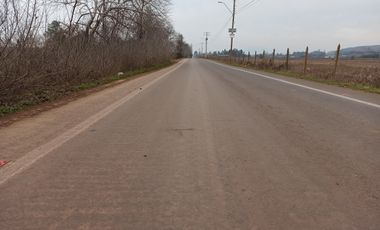 CAMPO, AGRÍCOLA EN VENTA, 21 HA, SAN CLEMENTE
