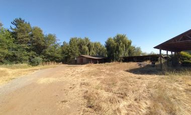 CAMPO, AGRÍCOLA EN VENTA, 60 HA, TENO