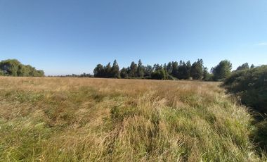CAMPO, AGRÍCOLA EN VENTA, 60 HA, TENO