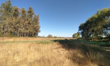 CAMPO, AGRÍCOLA EN VENTA, 60 HA, TENO