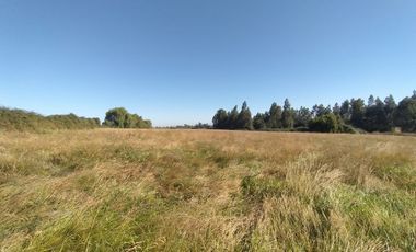 CAMPO, AGRÍCOLA EN VENTA, 60 HA, TENO