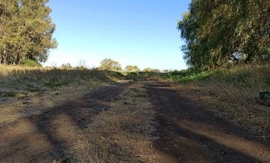CAMPO, AGRÍCOLA EN VENTA, 60 HA, TENO