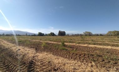 CAMPO, AGRÍCOLA EN VENTA, 60 HA, TENO